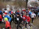 k-IMG_4572